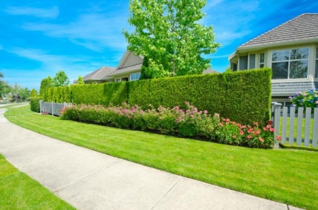 Jardinage &agrave; domicile &agrave; P&eacute;rigueux pour un jardin impeccable